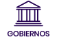 Government icon