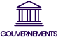 Government icon